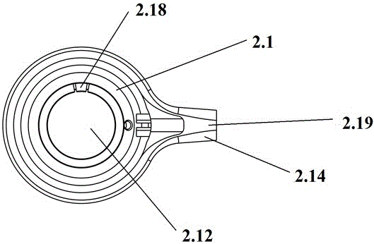 Bio-electricity signal collecting device