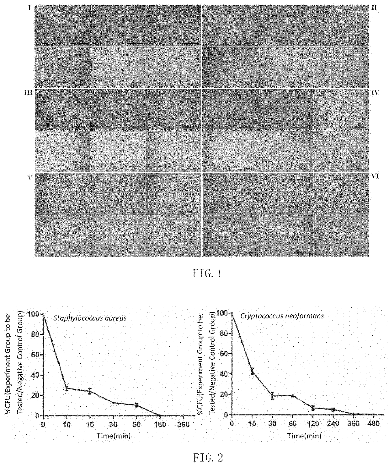 Scylla paramamosain antimicrobial peptide sparamosin and application thereof