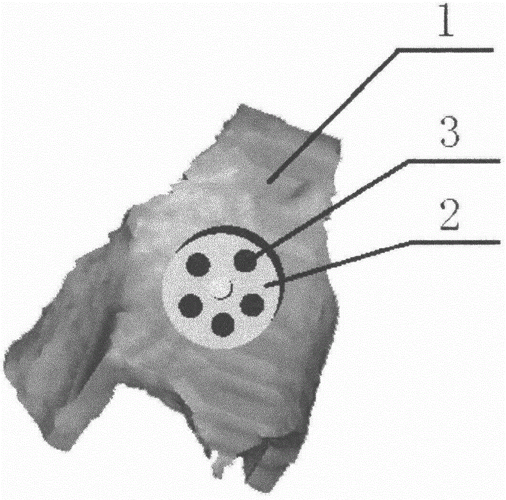 Medullary core three-dimensional decompressing device for treating avascular necrosis of femoral head as well as preparing and testing methods based on medullary core three-dimensional decompressing device