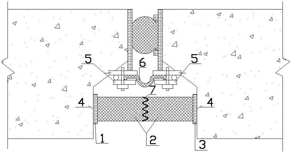 Replaceable enhancement type water joint for immersed tunnel