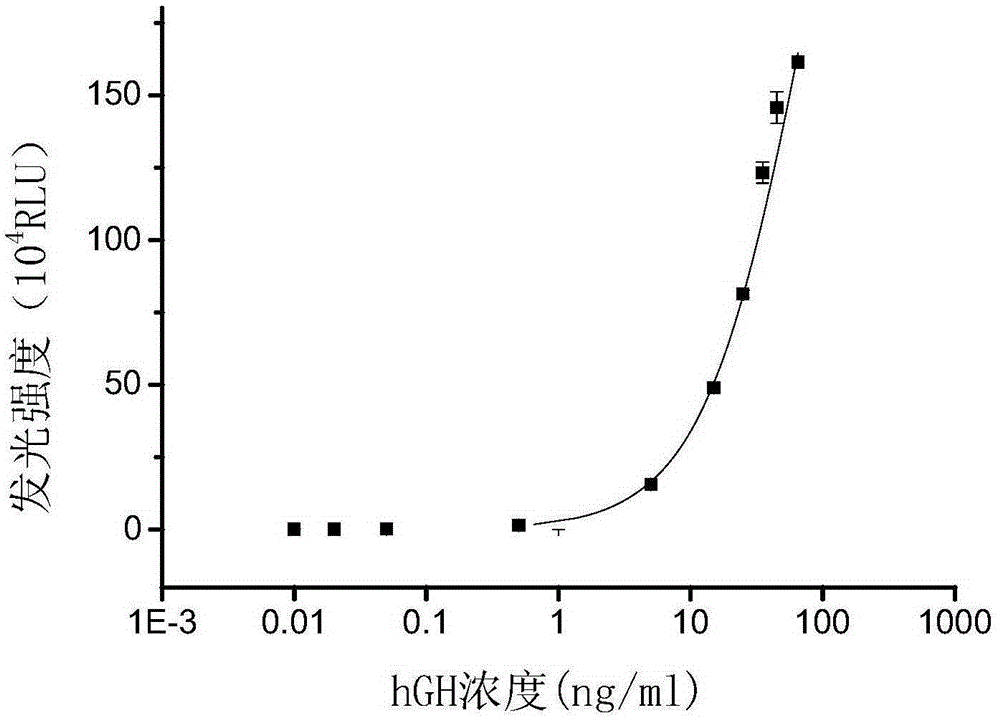 Application of hyperbranched polyglycidyl ether modified nano-magnetic microspheres in chemiluminescence immunoassay