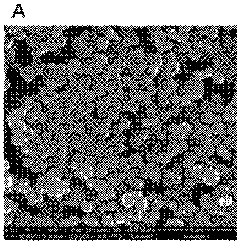 Nanoparticles for encapsulation of compounds, the production and uses thereof