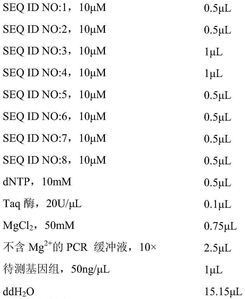 Method for amplifying four genes of Botrytis cinerea and multiplex PCR (polymerase chain reaction) primer set thereof