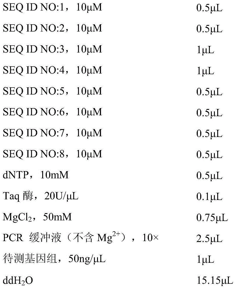 Method for amplifying four genes of Botrytis cinerea and multiplex PCR (polymerase chain reaction) primer set thereof