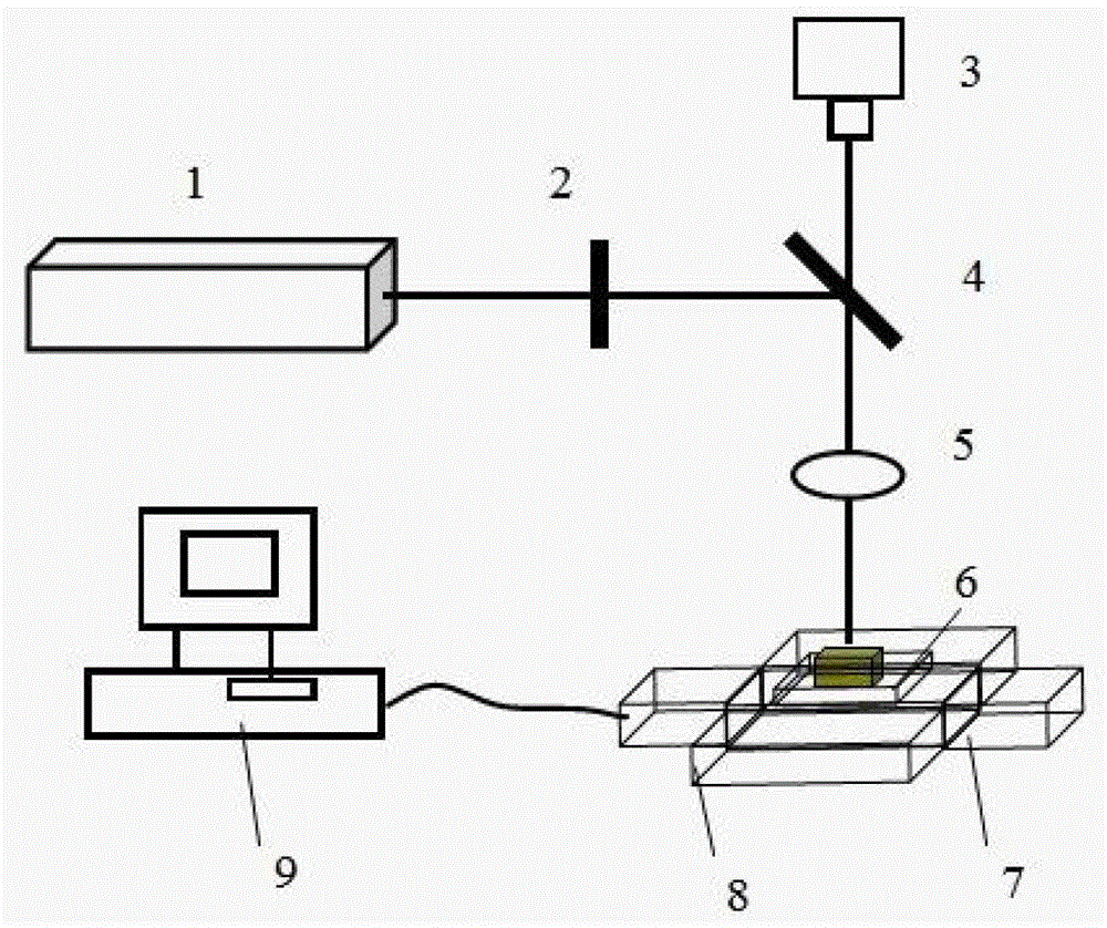 Method for preparing quasi-periodic microlens array by wet etching with femtosecond laser