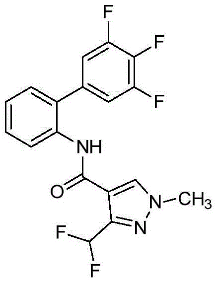 Synergistic fungicidal mixtures for fungal control in cereals