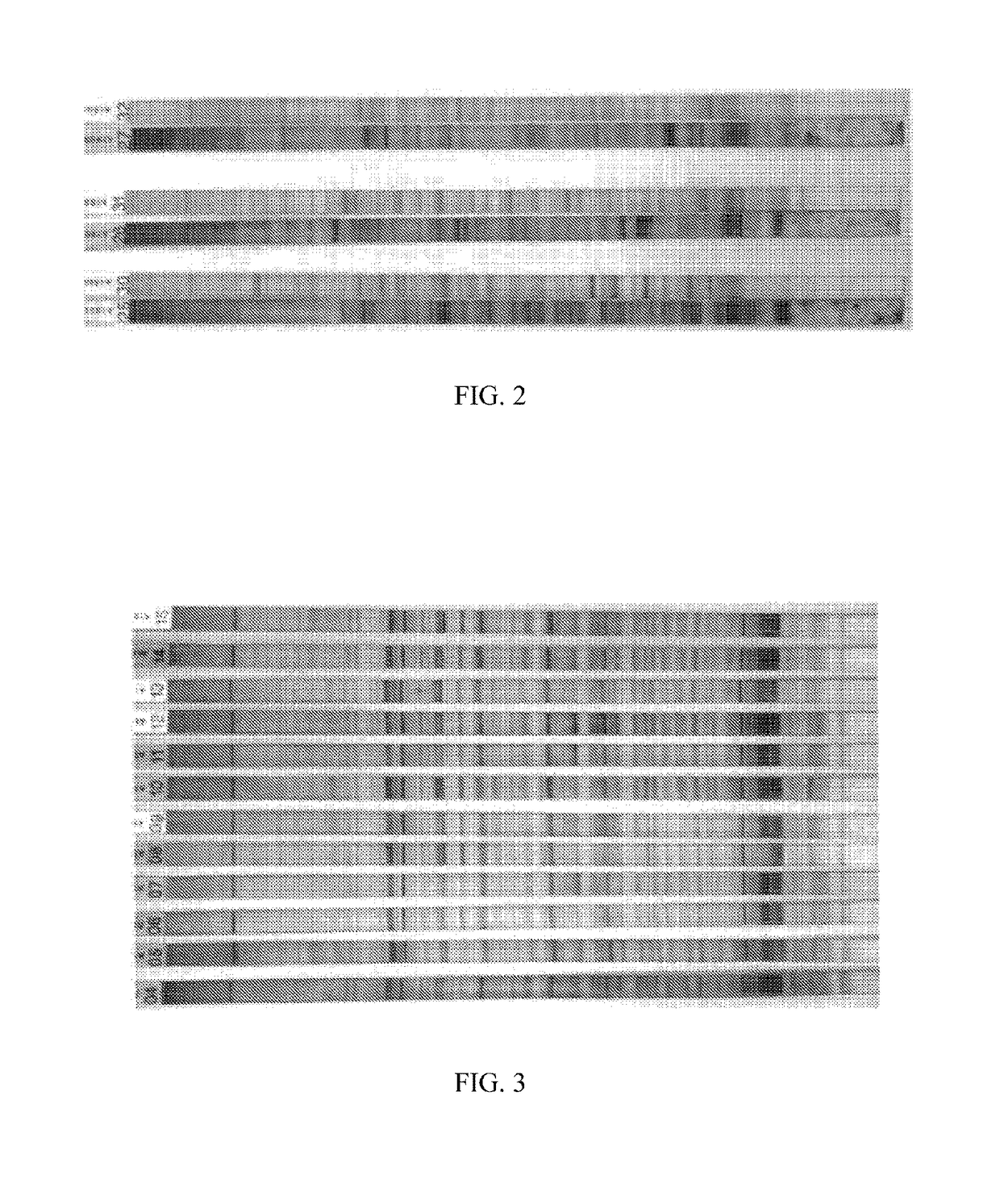 Antibody profiling sensitivity through increased reporter antibody layering