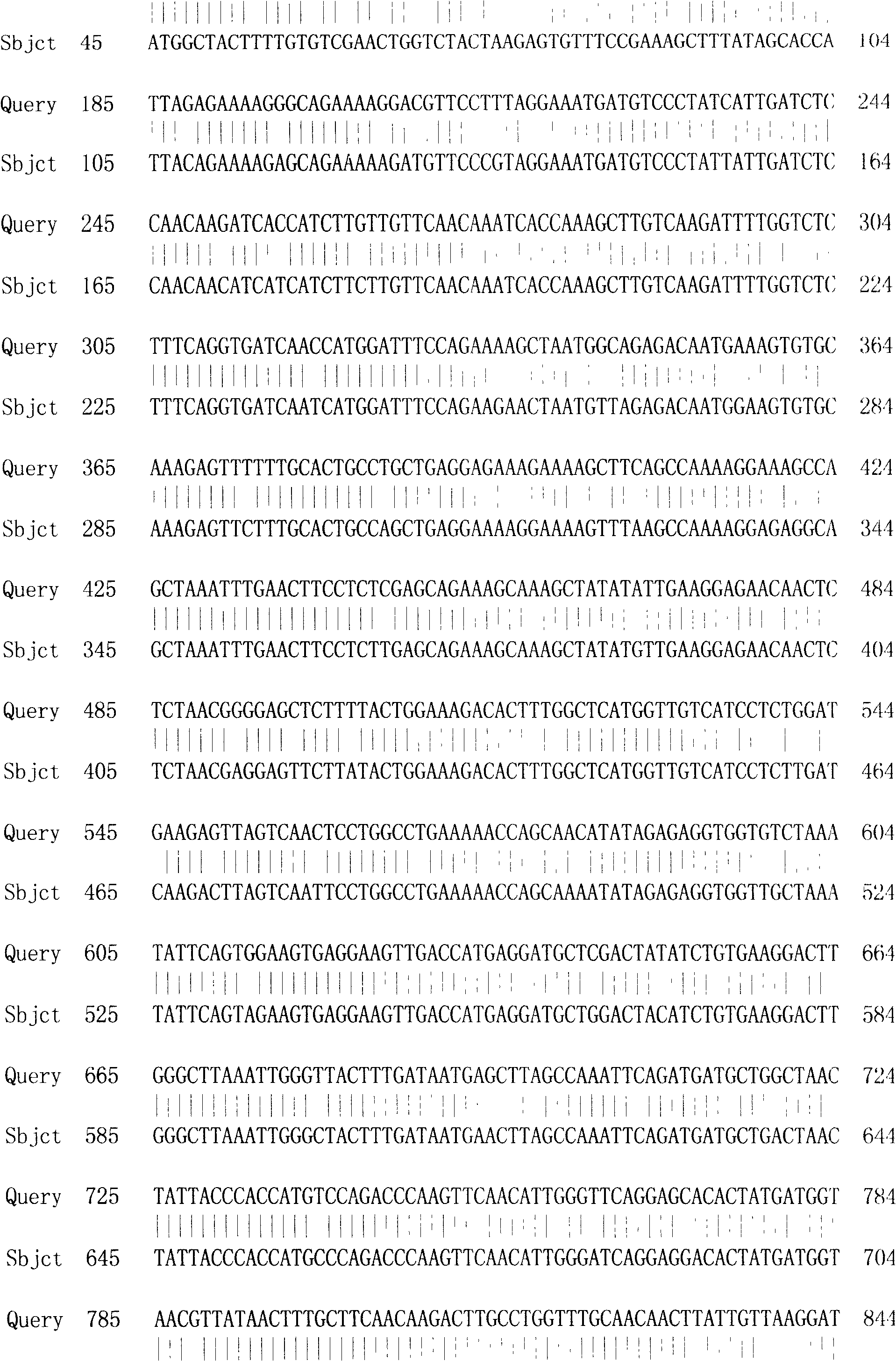 Scopolia acutangula hyoscyamine 6 Beta-hydroxylase gene, protein encoded thereby and application thereof