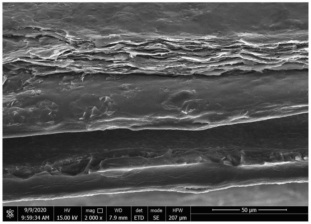 High-thermal-conductivity polymer material composite film with thermal response performance and preparation method of high-thermal-conductivity polymer material composite film