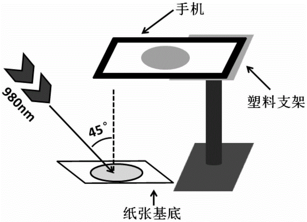 Rapid quantitative detection method of cocaine suitable for field detection