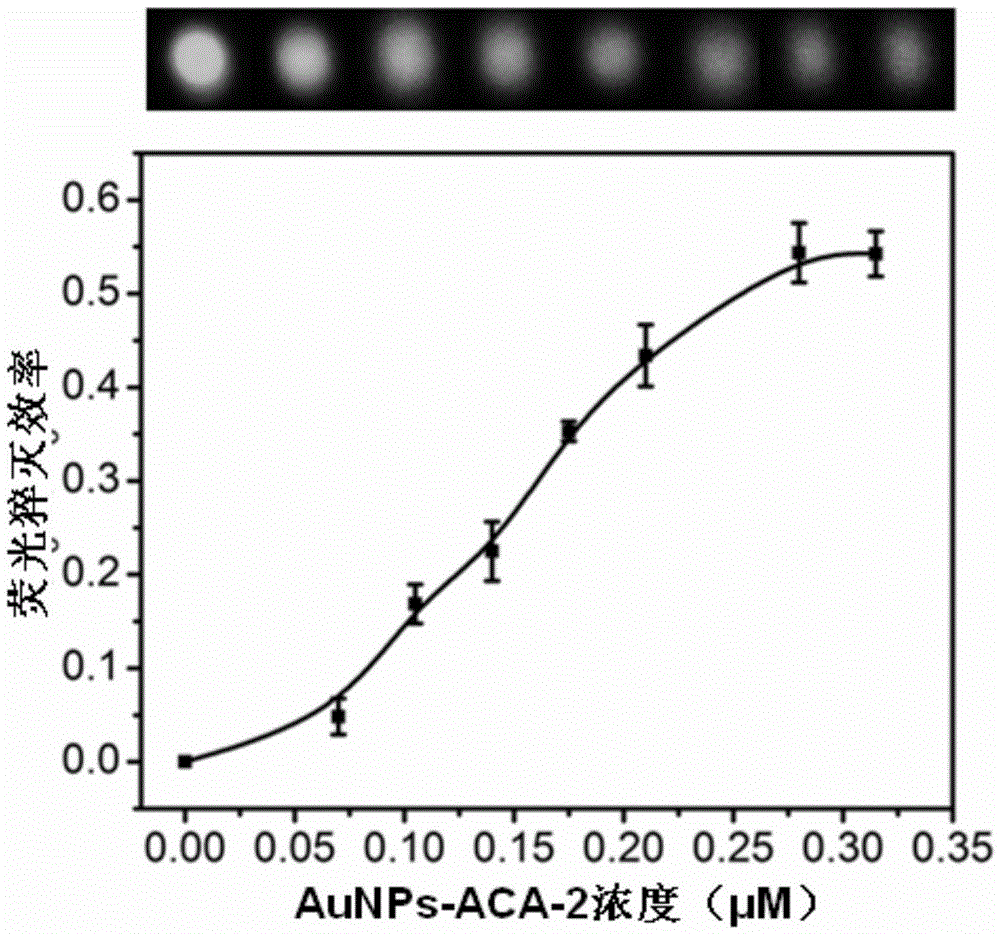 Rapid quantitative detection method of cocaine suitable for field detection