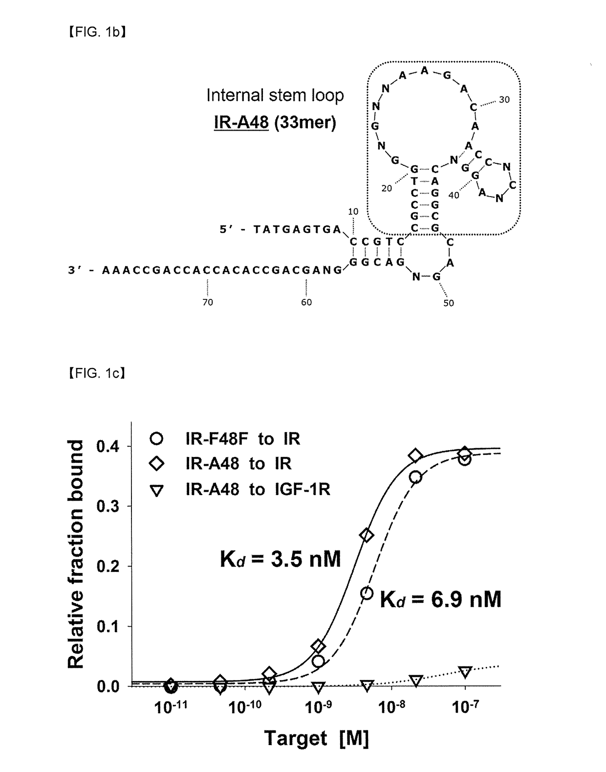 Aptamer against insulin receptor and pharmaceutical composition containing the same