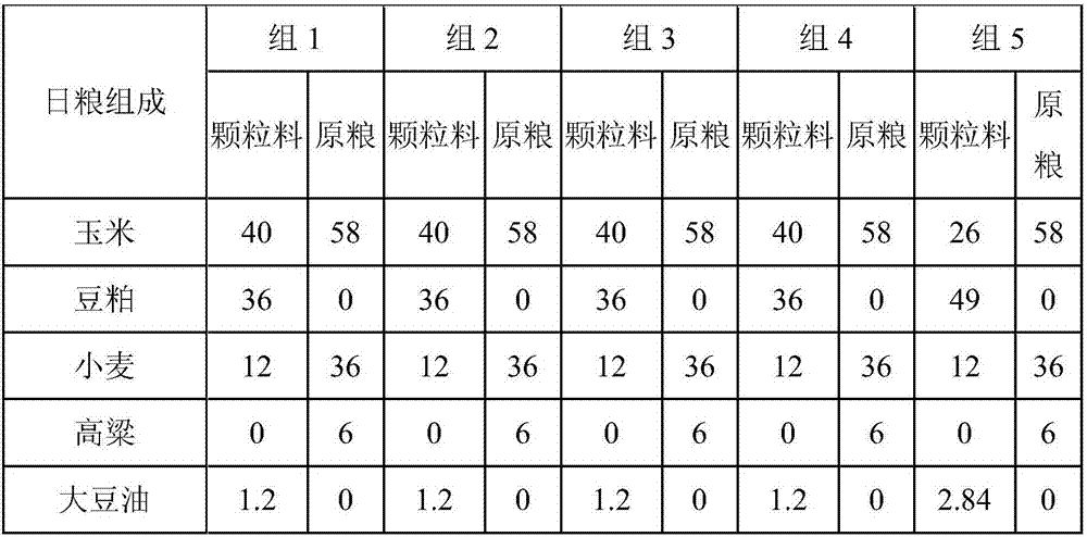 Applications of leucine in promotion of milk secretion and growth aspects of breeding pigeons