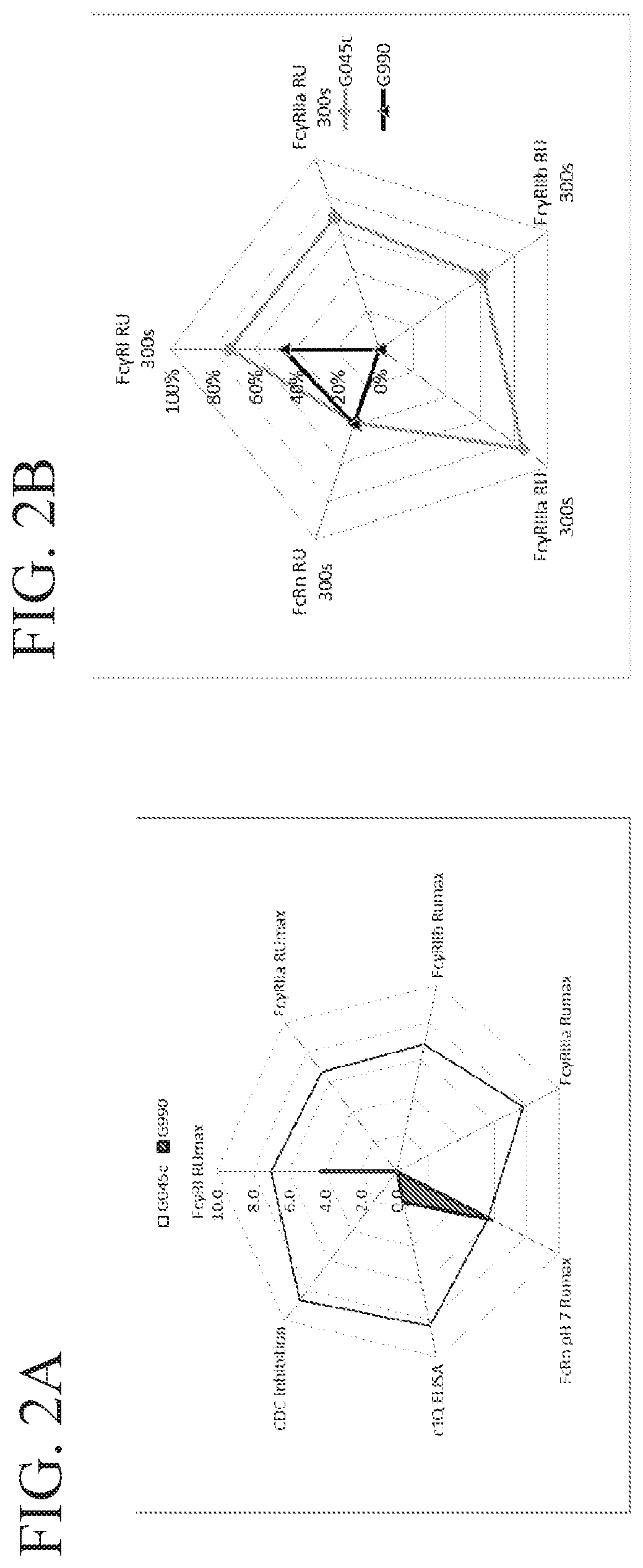 Fusion proteins of human protein fragments to create orderly multimerized immunoglobulin fc compositions with enhanced fc receptor binding