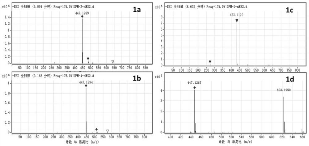 Application of naringenin(4-O-methyl) glucoside compound in preparation of anti-inflammatory or lipid-lowering drugs