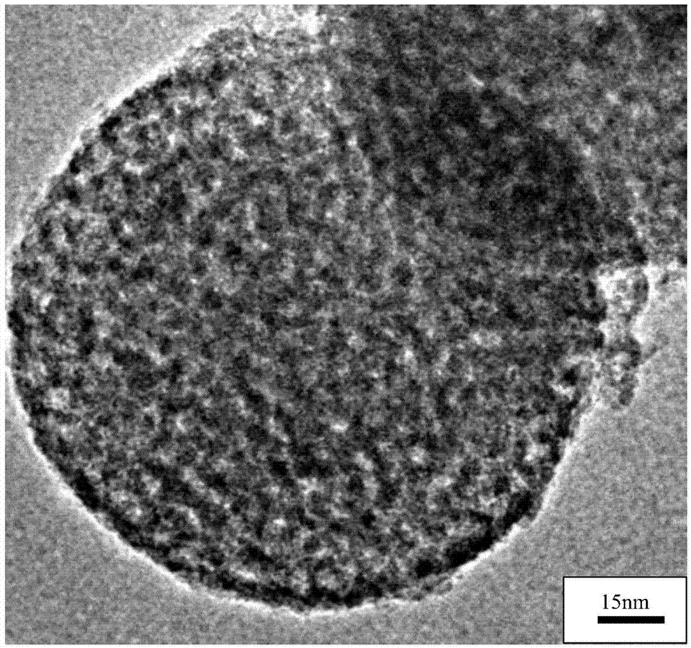 Fe and N co-doped mesoporous TiO2 microsphere array visible light photocatalyst and preparation method