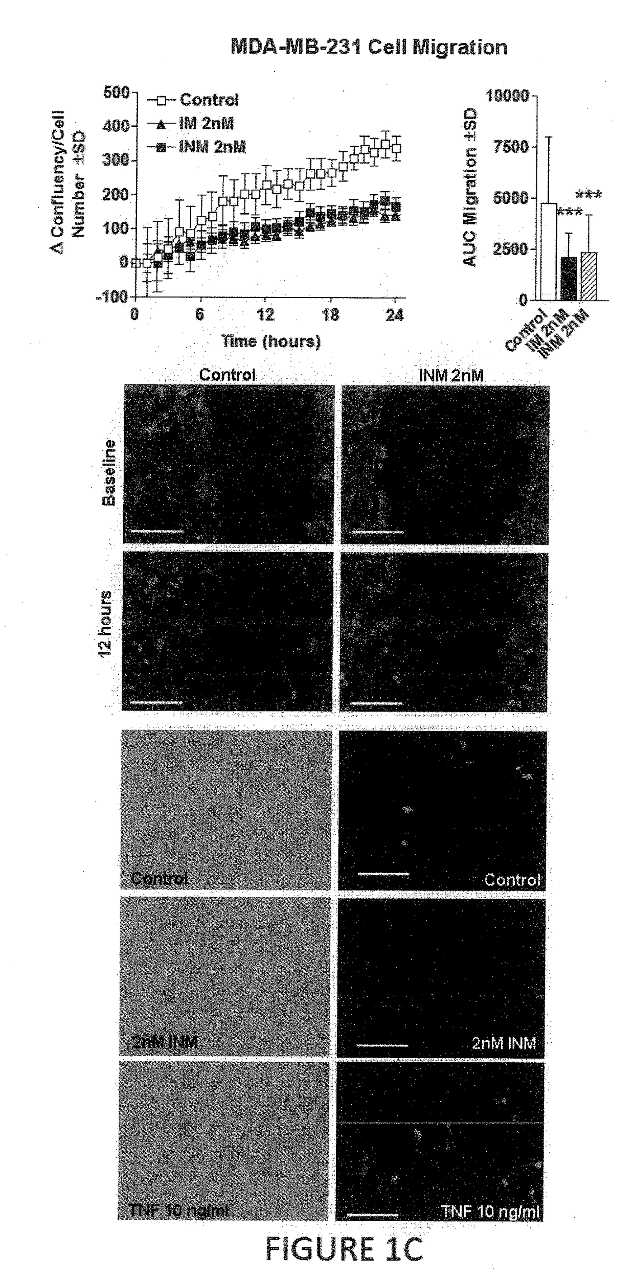 Irisin-related cancer treatments