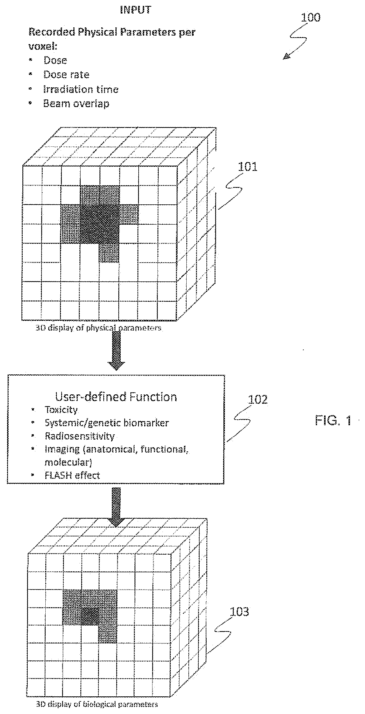 Model based pbs optimization for flash therapy treatment planning and oncology information system