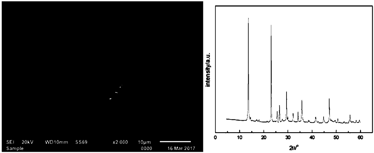 Method for preparing basic magnesium bromide whiskers by utilizing seawater or salt lake bittern