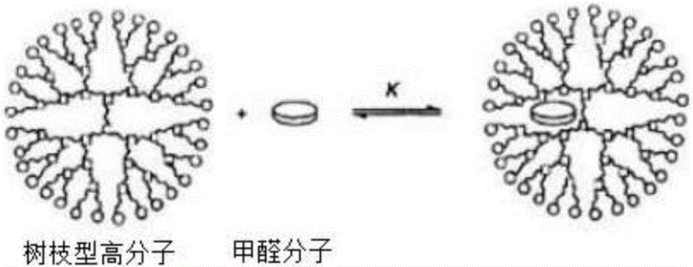 Air purifying liquid and preparation method thereof