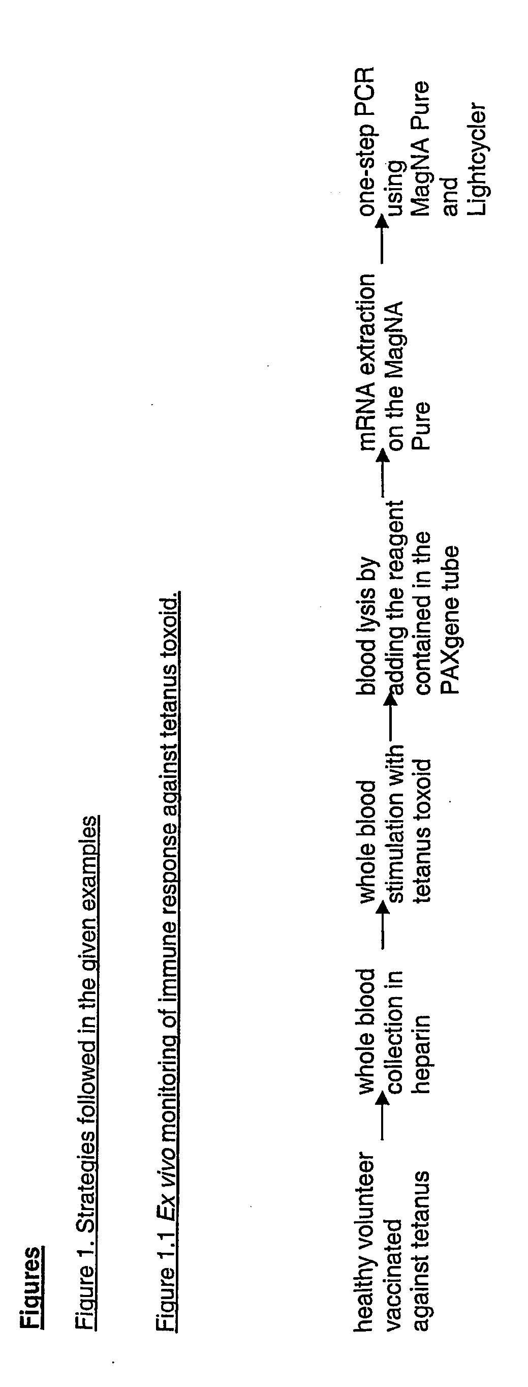 Method to determine in vivo nucleic acid levels