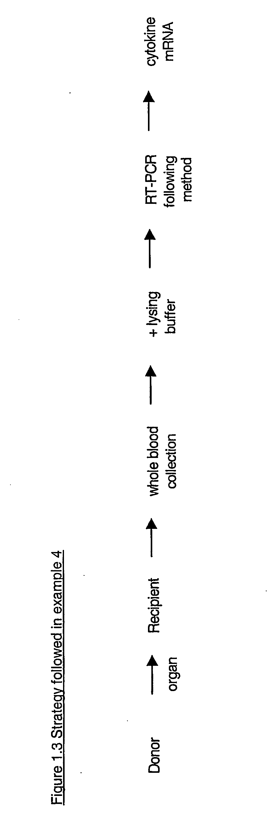 Method to determine in vivo nucleic acid levels