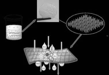 Preparation method and separation performance research of polymer-covalent organic framework material (polyCOF) composite films