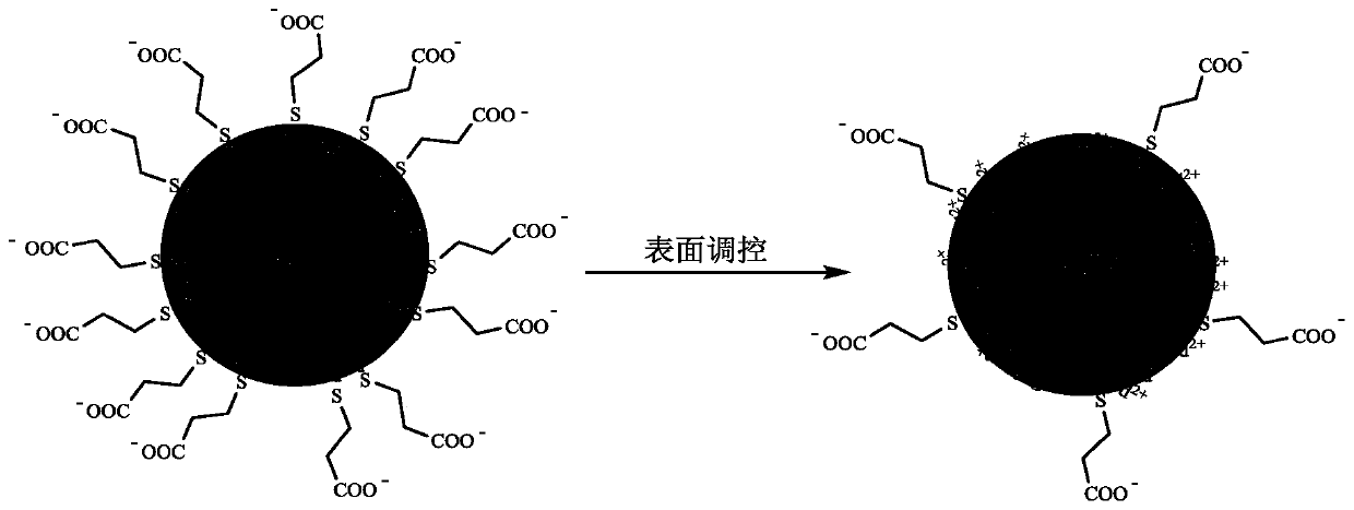 A kind of surface cadmium-rich cdse quantum dot photocatalyst and its preparation method and application