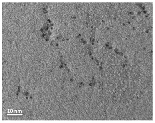 A kind of surface cadmium-rich cdse quantum dot photocatalyst and its preparation method and application