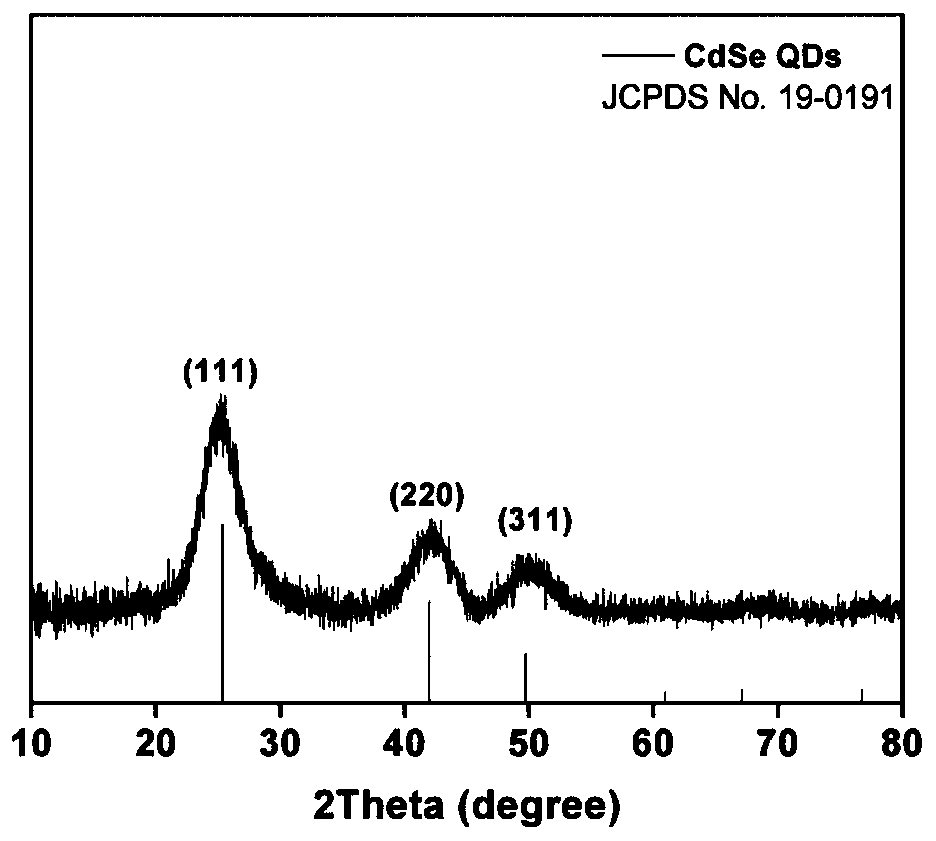 A kind of surface cadmium-rich cdse quantum dot photocatalyst and its preparation method and application