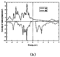 Fabrication Process of Heterojunction Spin Filter and Negative Differential Resistance Effect