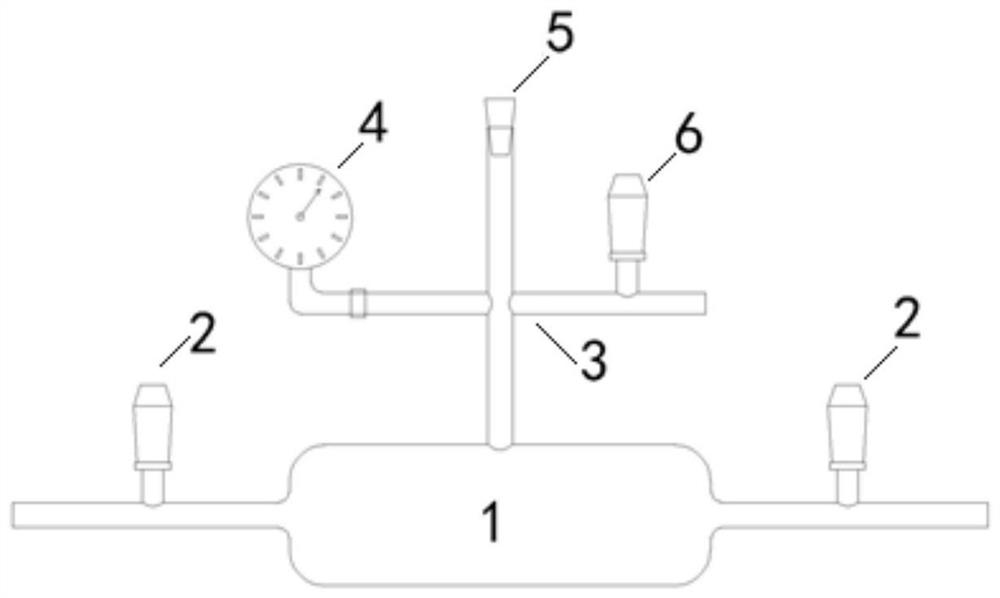 Gas sampling bottle and gas isotope analysis system and method