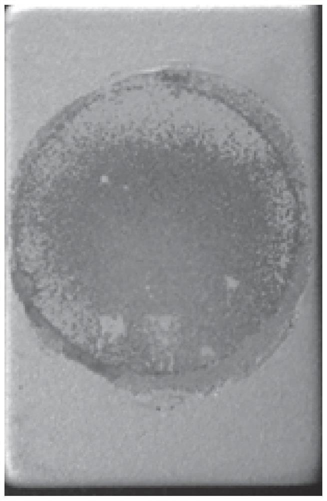 Surface strengthening treatment method of neodymium-iron-boron permanent magnet and application of surface strengthening treatment method