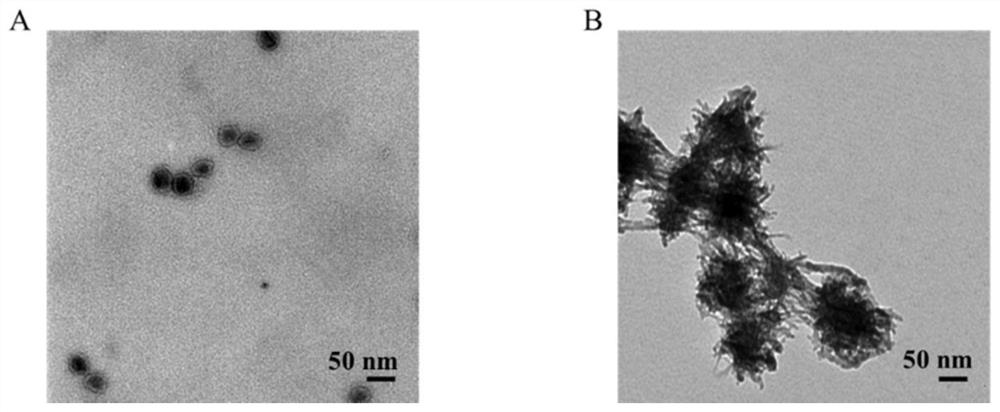 Aptamer and upconversion nanoparticle modified copolymer as well as synthesis and application thereof