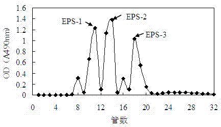 Exopolysaccharide lactobacillus for improving fermented milk viscosity and application thereof