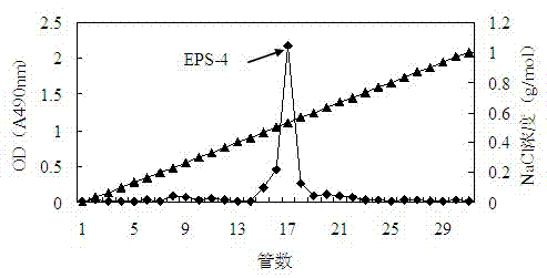 Exopolysaccharide lactobacillus for improving fermented milk viscosity and application thereof