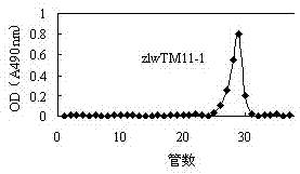 Exopolysaccharide lactobacillus for improving fermented milk viscosity and application thereof