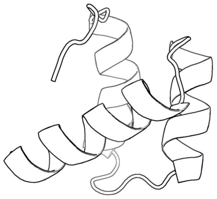 A population protein conformation space optimization method based on diversity index