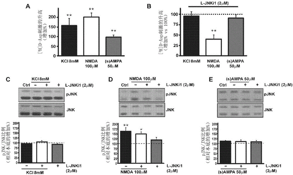 Cell-permeable peptide system for treating diseases caused by glutamate excitotoxicity