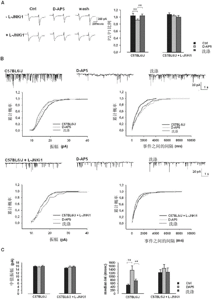 Cell-permeable peptide system for treating diseases caused by glutamate excitotoxicity