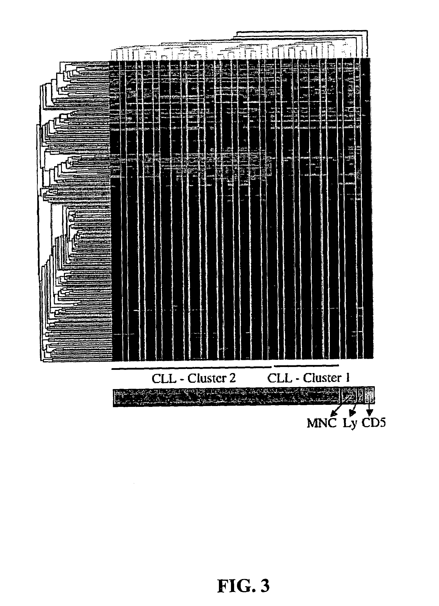 Diagnosis and treatment of cancers with microRNA located in or near cancer associated chromosomal features