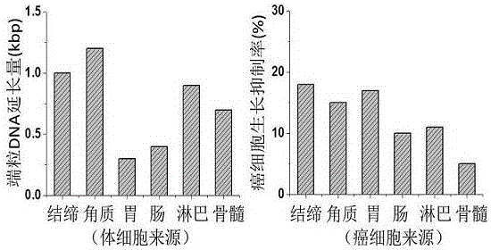 Anti-aging health-care product as well as preparation method and eating method thereof