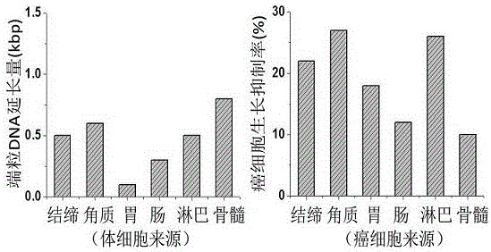 Anti-aging health-care product as well as preparation method and eating method thereof