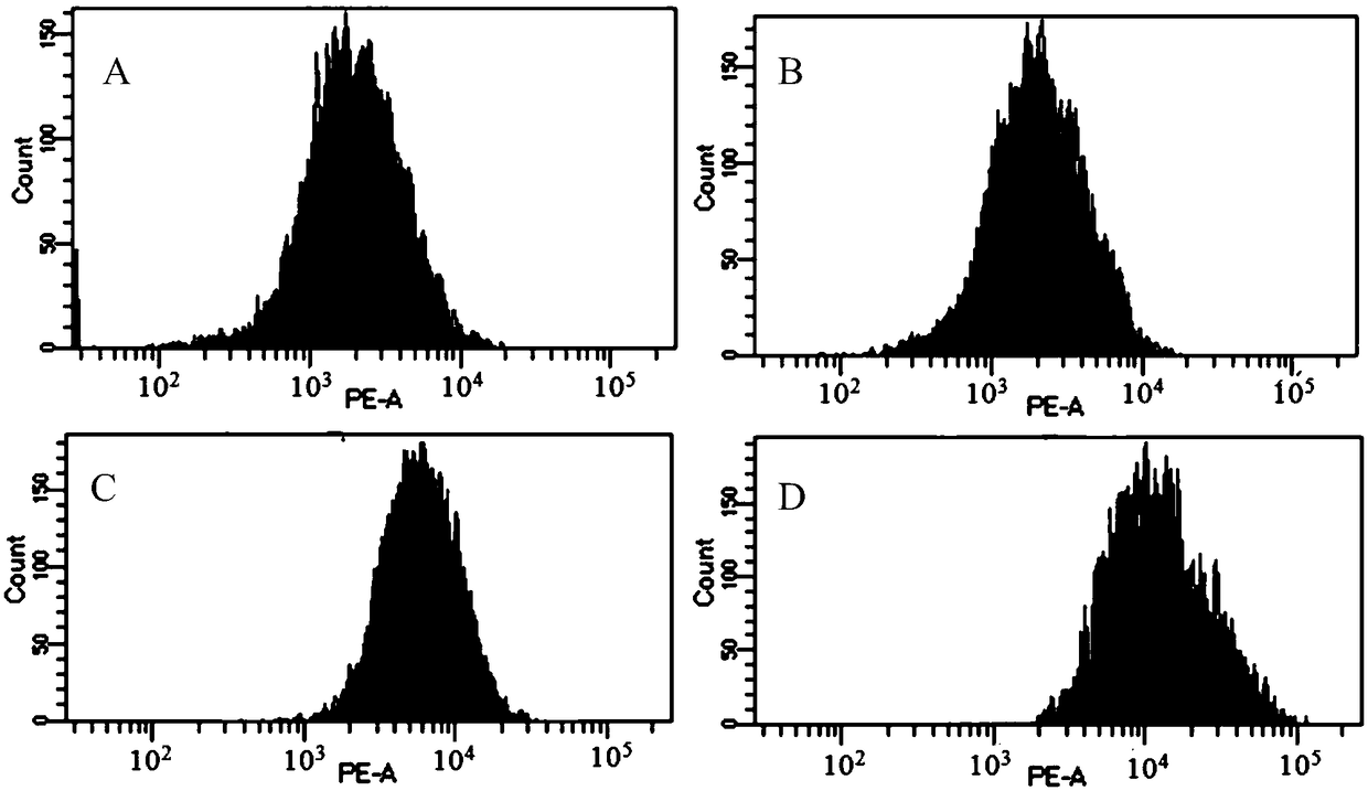 Anti-rat CD3 recombinant immunotoxin as well as preparation method and application thereof