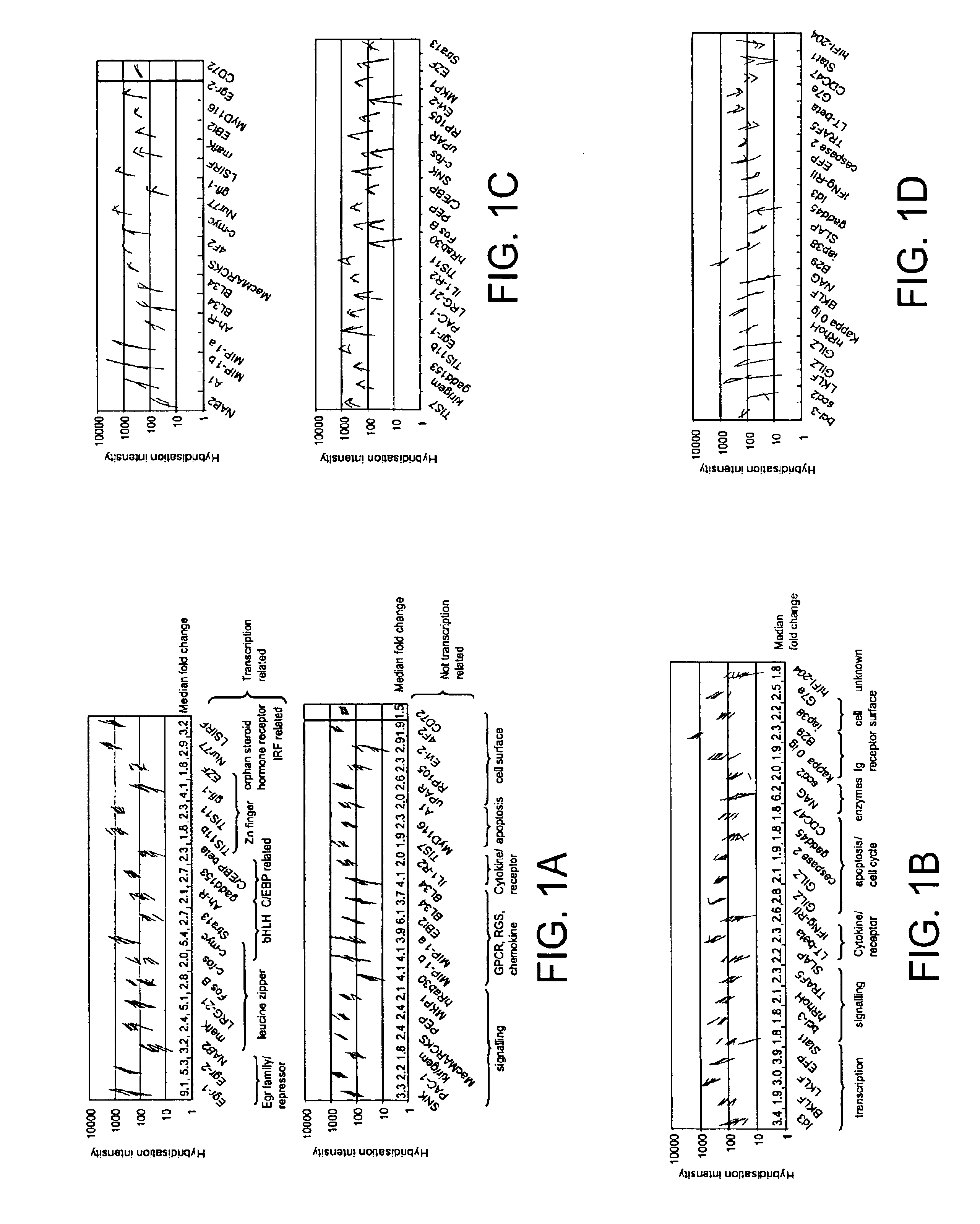 Methods of screening for B cell activity modulators