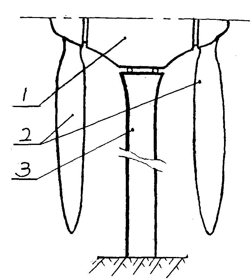 Multi-wind-wheel symmetric wind power generation