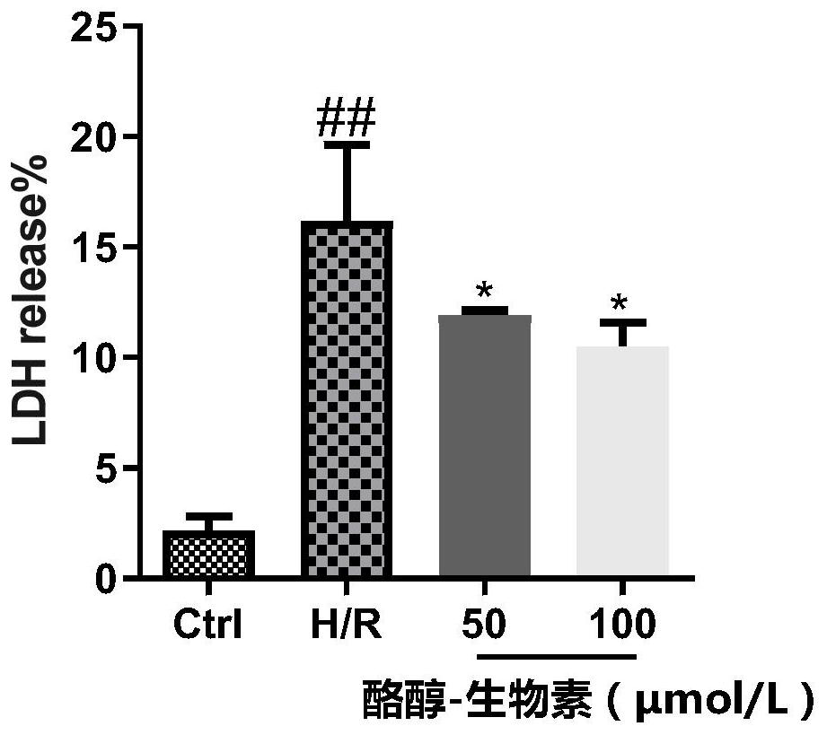 Tyrosol-biotin small molecular probe as well as preparation method and application thereof