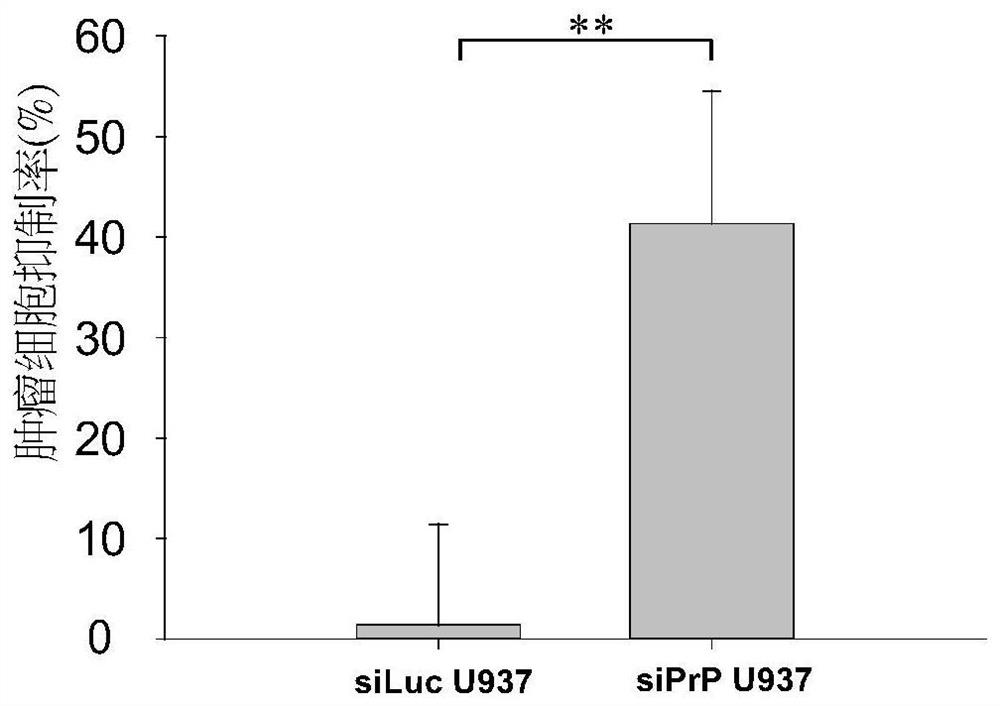 Immune cell line with enhanced anti-tumor effect