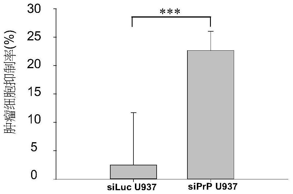 Immune cell line with enhanced anti-tumor effect