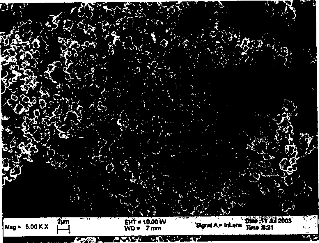 Preparation method of lithium transition metal oxide